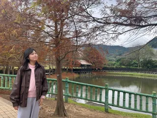 董甄茵